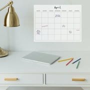 Tempaper & Co Peel & Stick Dry Erase Monthly