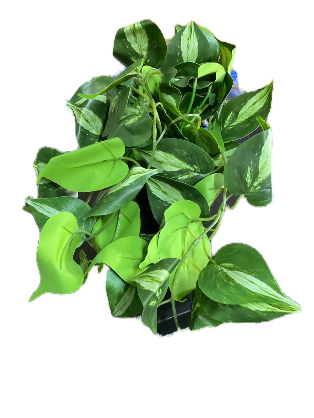 JPSOR Artificial Pothos Plant in Black Pot 12in