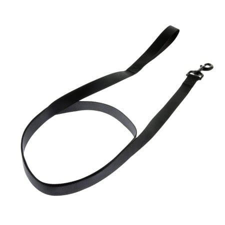 Vibrant Life Black Polyester Dog Leash 6 ft