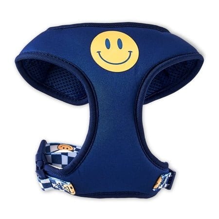 Vibrant Life Neoprene Dog Harness Gray XS