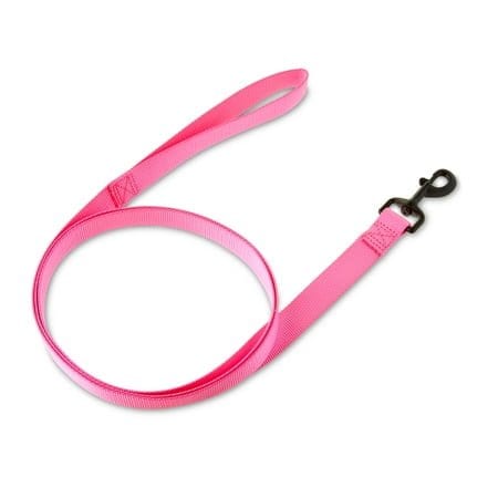 Vibrant Life Dog Leash Pink Nylon 6ft Large