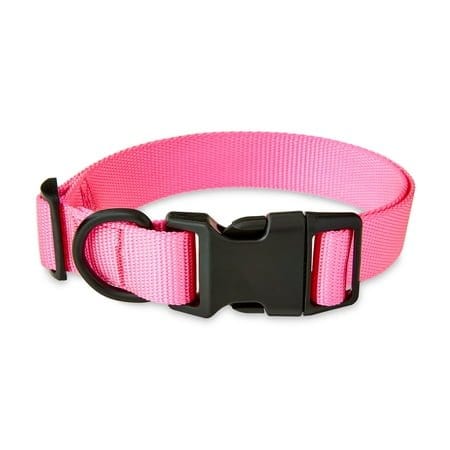 Vibrant Life Pink Dog Collar Large Nylon