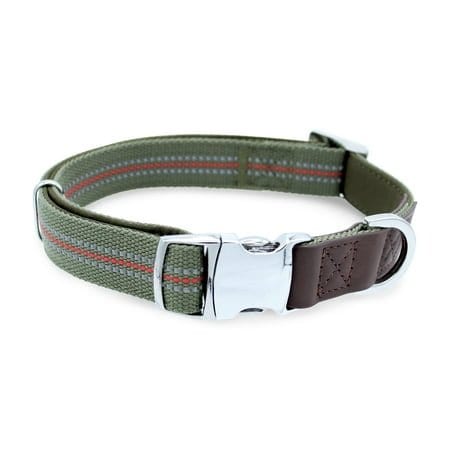 Vibrant Life Reflective Dog Collar Olive Small