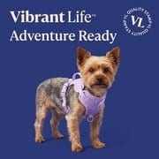 Vibrant Life Neoprene Comfort Dog Harness XS