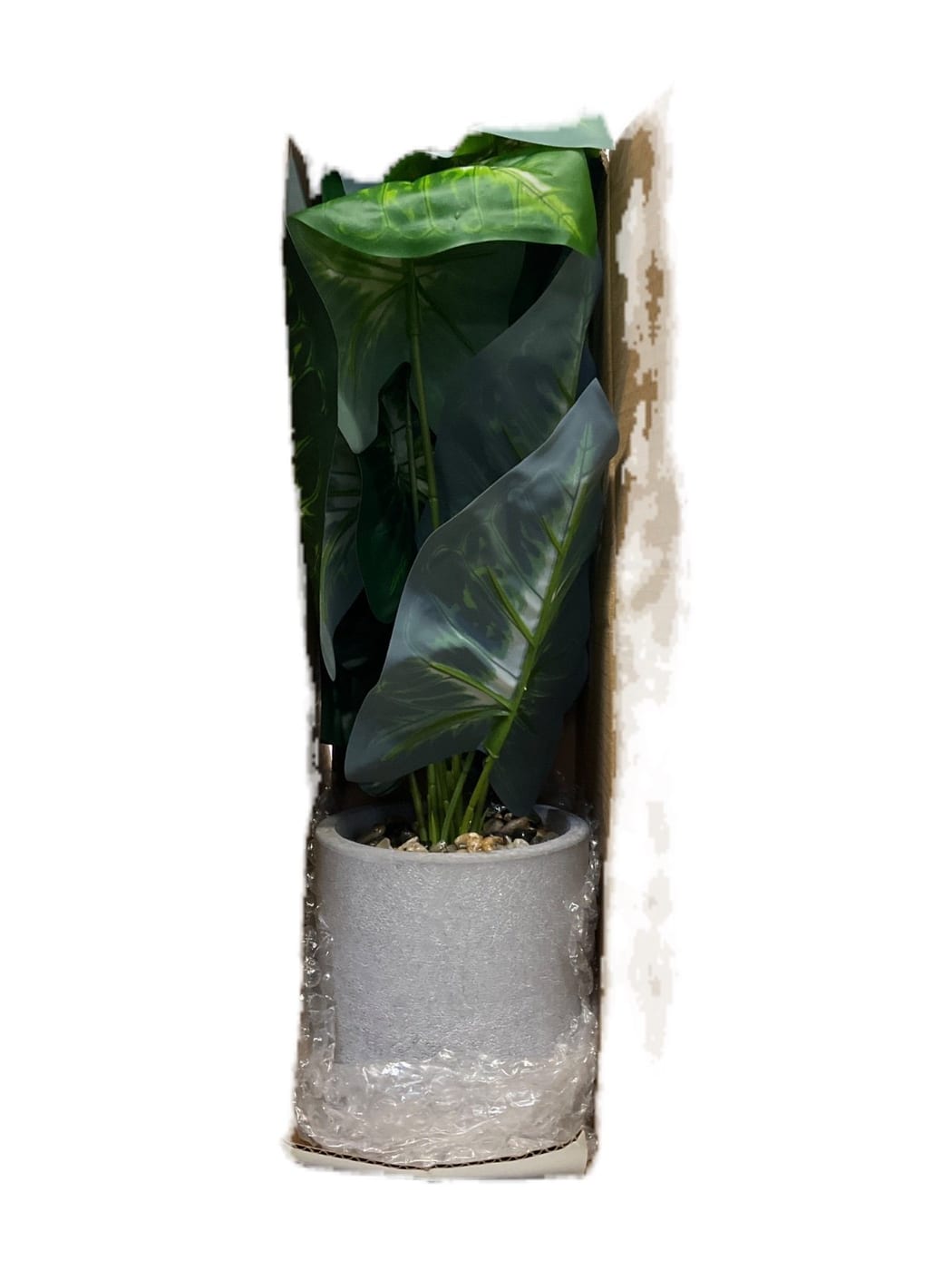 Artificial Alocasia Plant in Gray Cement-Look Pot