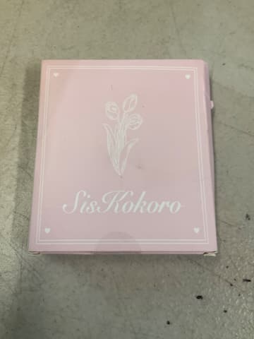 SisKokoro Compact Mirror with Light, 40X Magnifier
