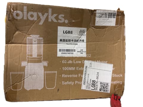 olayks Cold Press Masticating Juicer OLK-LJ02 Grey