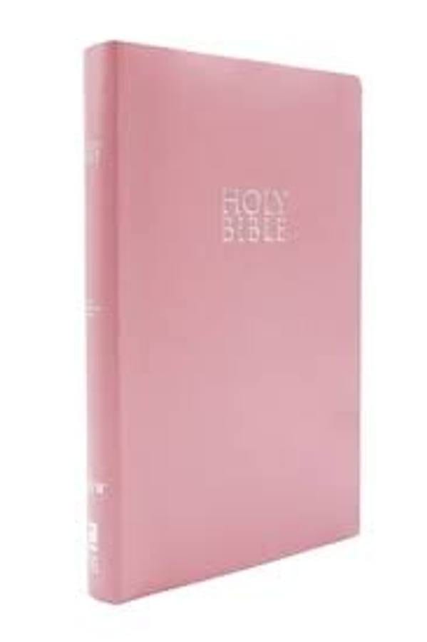 TEST - Zondervan NIV Gift and Award Bible